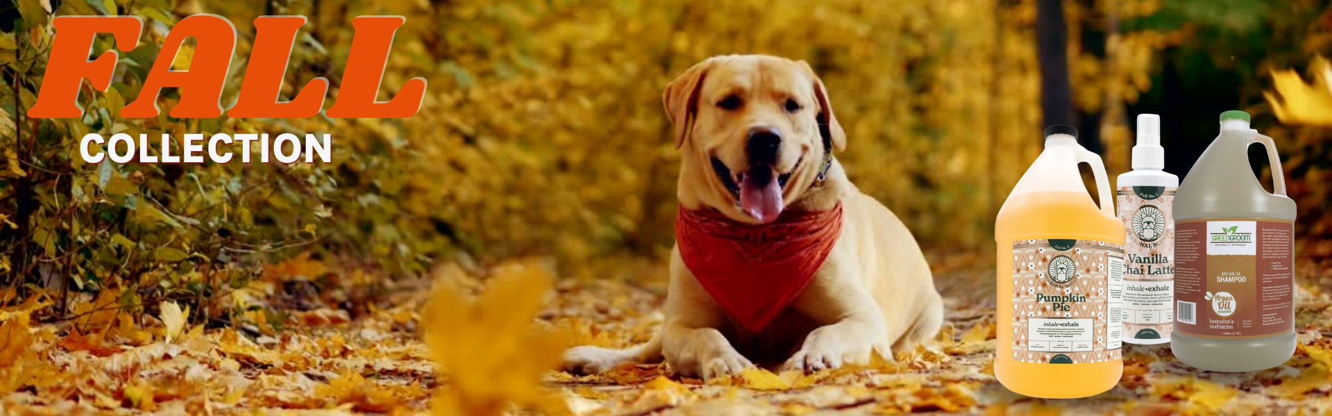 Collections Groomer's Choice